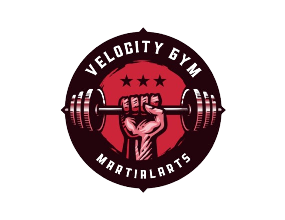 velocity gym and martial arts training accademy